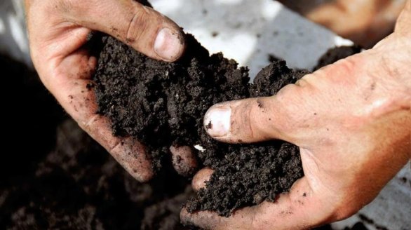 Accurate soil nutrient