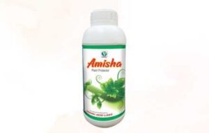 Amisha