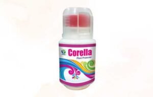 Corellla