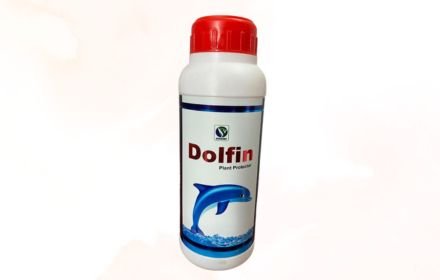Dolfin