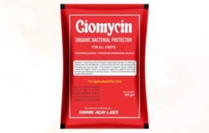 Giomycin