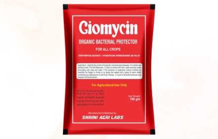 Giomycin