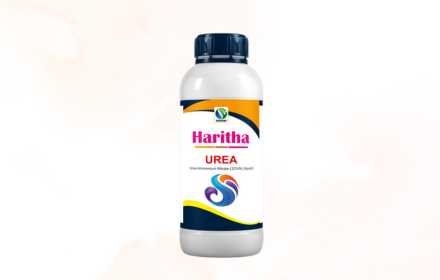 Haritha