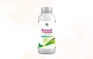 Kesol