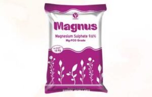 Shri Magnus