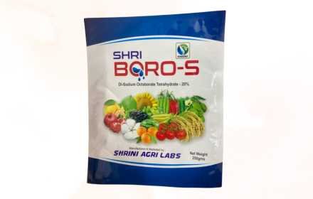 Shri Boro