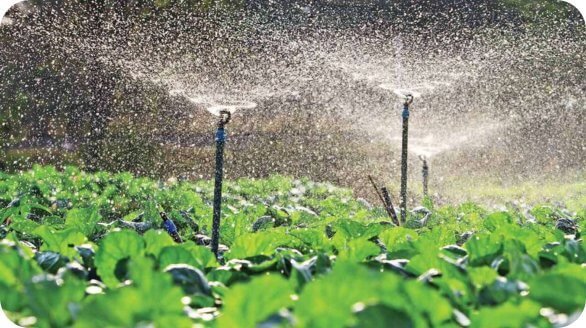 Water soluble fertilizer