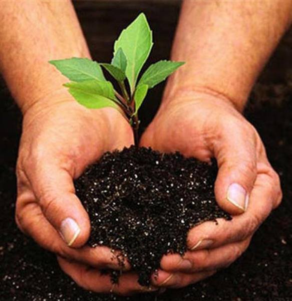 organic-bio-fertilizer