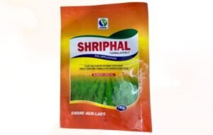 Shriphal Nursery Special